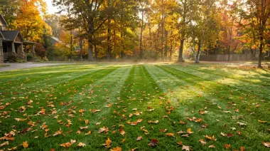 Fall Lawn Care Schedule: Month-by-Month Guide